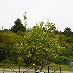 Casonas De Marengo Lantställe