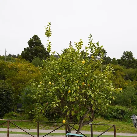 Casonas De Marengo Casa de Campo