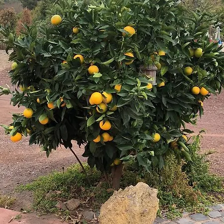 Casonas De Marengo